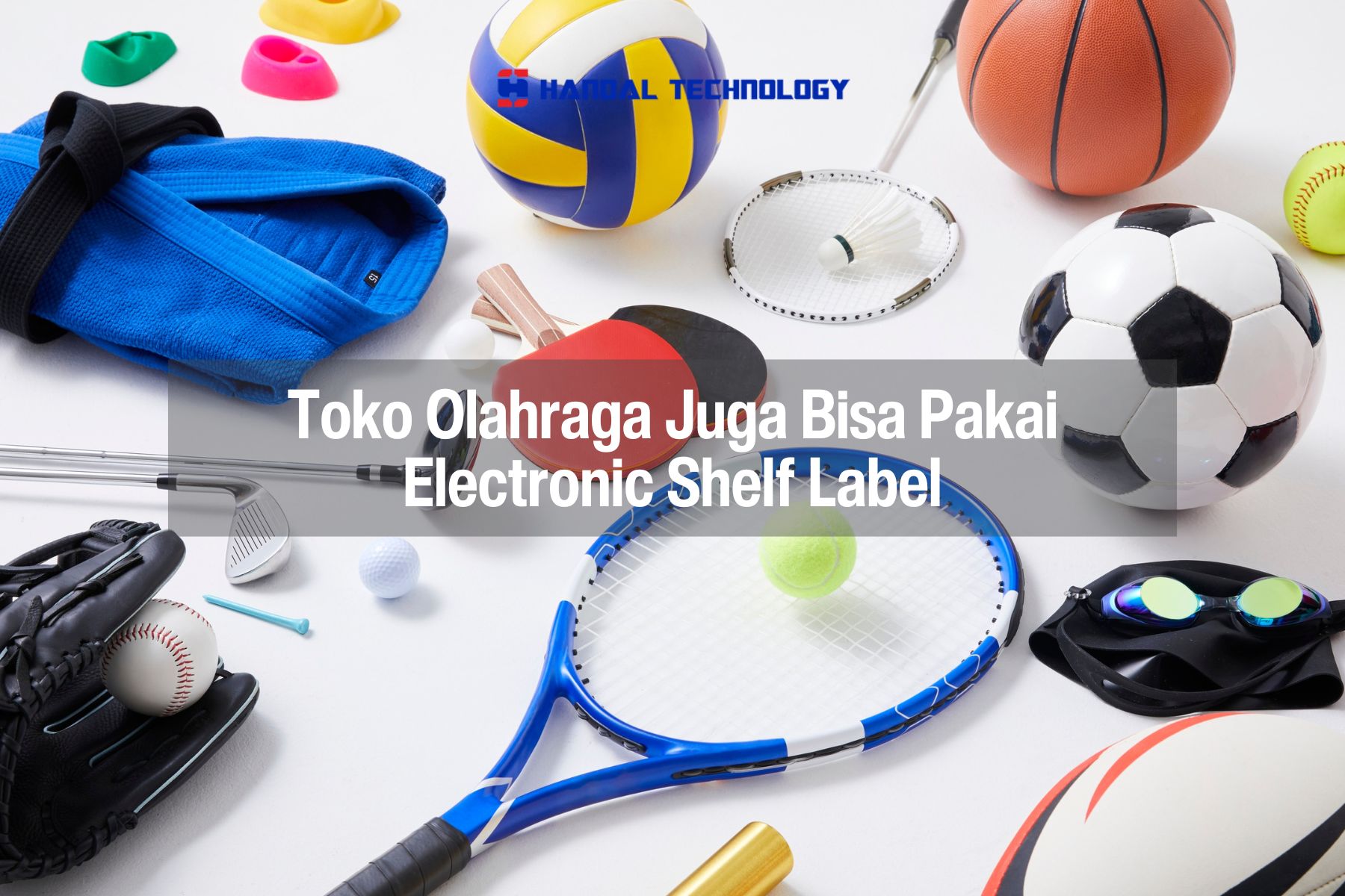 Handal Blog Picture