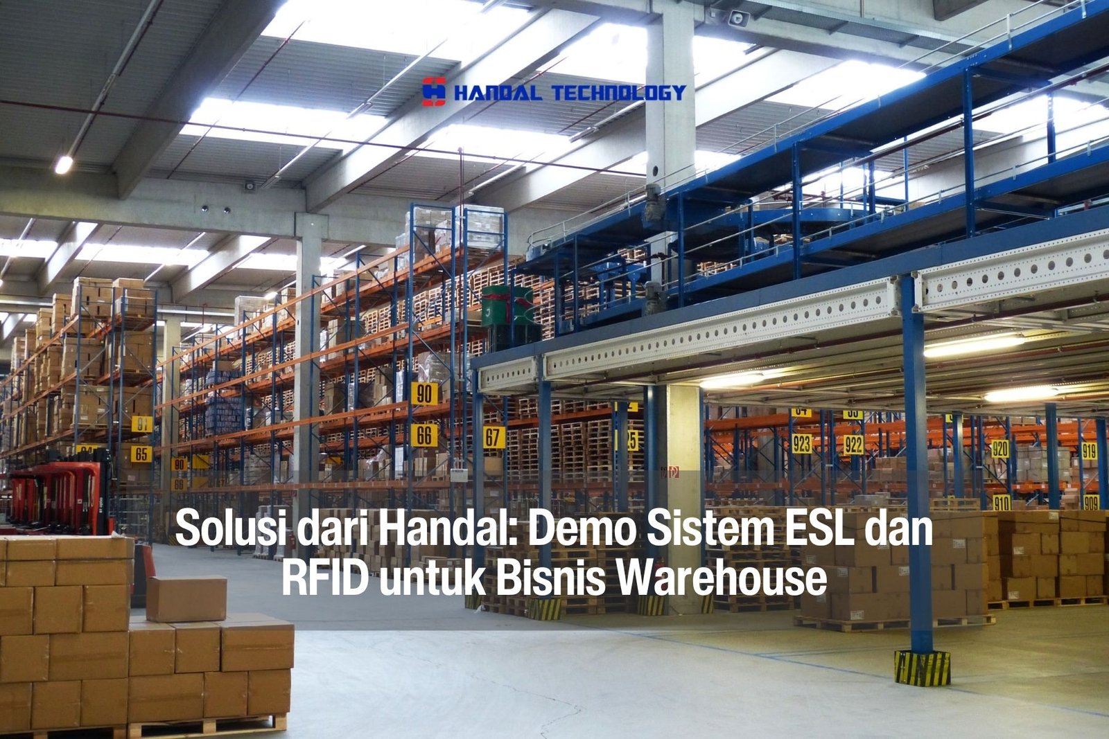 handal-img