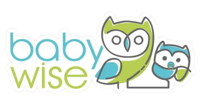 Handal Client Babywise